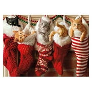 Avanti Press Christmas Cards, Stocking Full of Kittens, 50 Count Value Pack (32568)