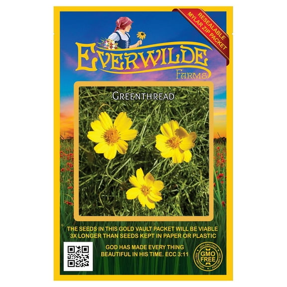 Everwilde Farms 500 Greenthread Wild Flower Seeds, Drought Hardy Perennial Herb