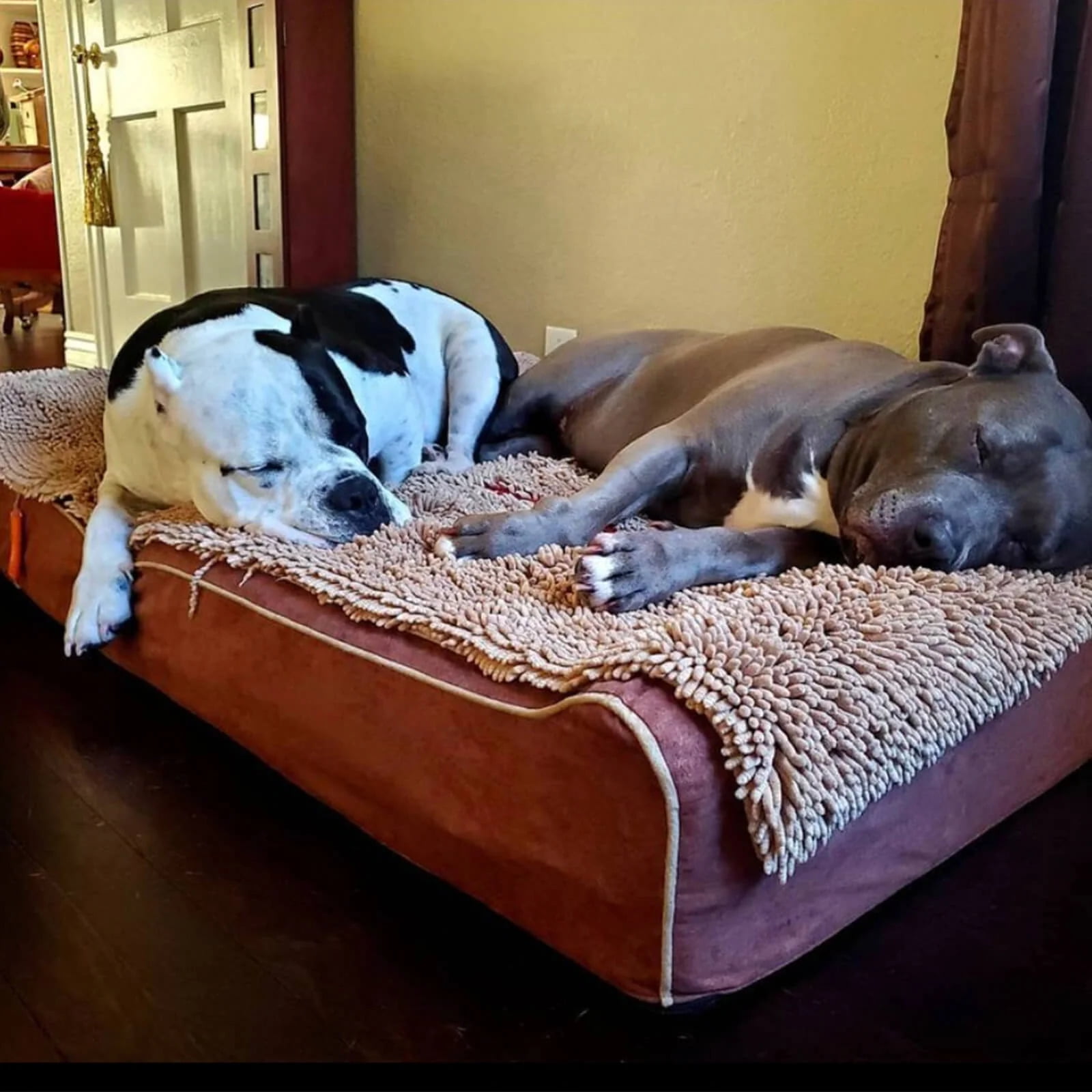 Laifug Extra Large Dog Bed with Orthopedic Memory Foam, Dog Pillow, Waterproof Liner & Washable Cover (Brown)