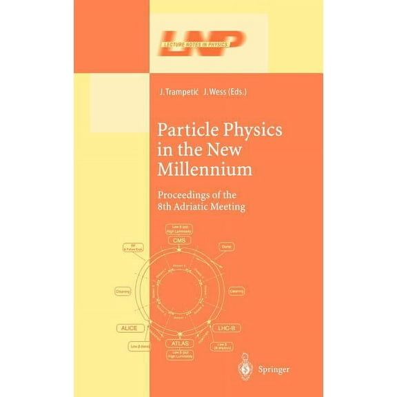 Lecture Notes in Physics Particle Physics in the New Millennium: Proceedings of the 8th Adriatic Meeting, Book 616, (Hardcover)