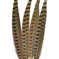 thumbnail image 2 of Touch Of Ringneck Pheasant Feathers 4/pcs, Natural Banmo, 2 of 2