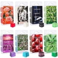 thumbnail image 2 of ZOYONE Soy Wax Warmer Cubes Scented Wax Melts Air Freshener Jasmine Lavender Rose for A, 2 of 9