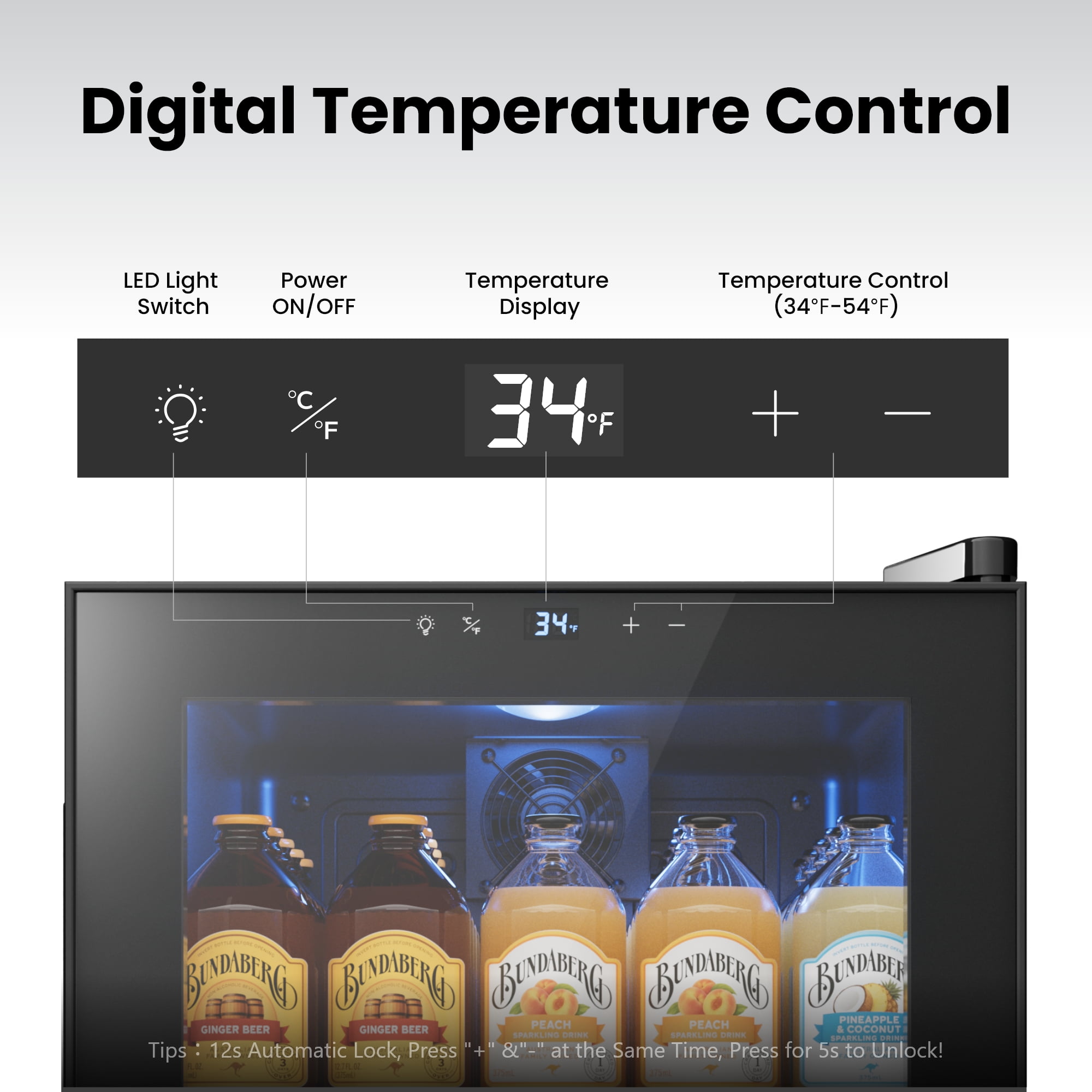 Yeego 65 Can Beverage Refrigerator, Freestanding Mini Beverage Cooler with Glass Door and Adjustable Removable Shelves for Drinks,1.62 Cu.ft.