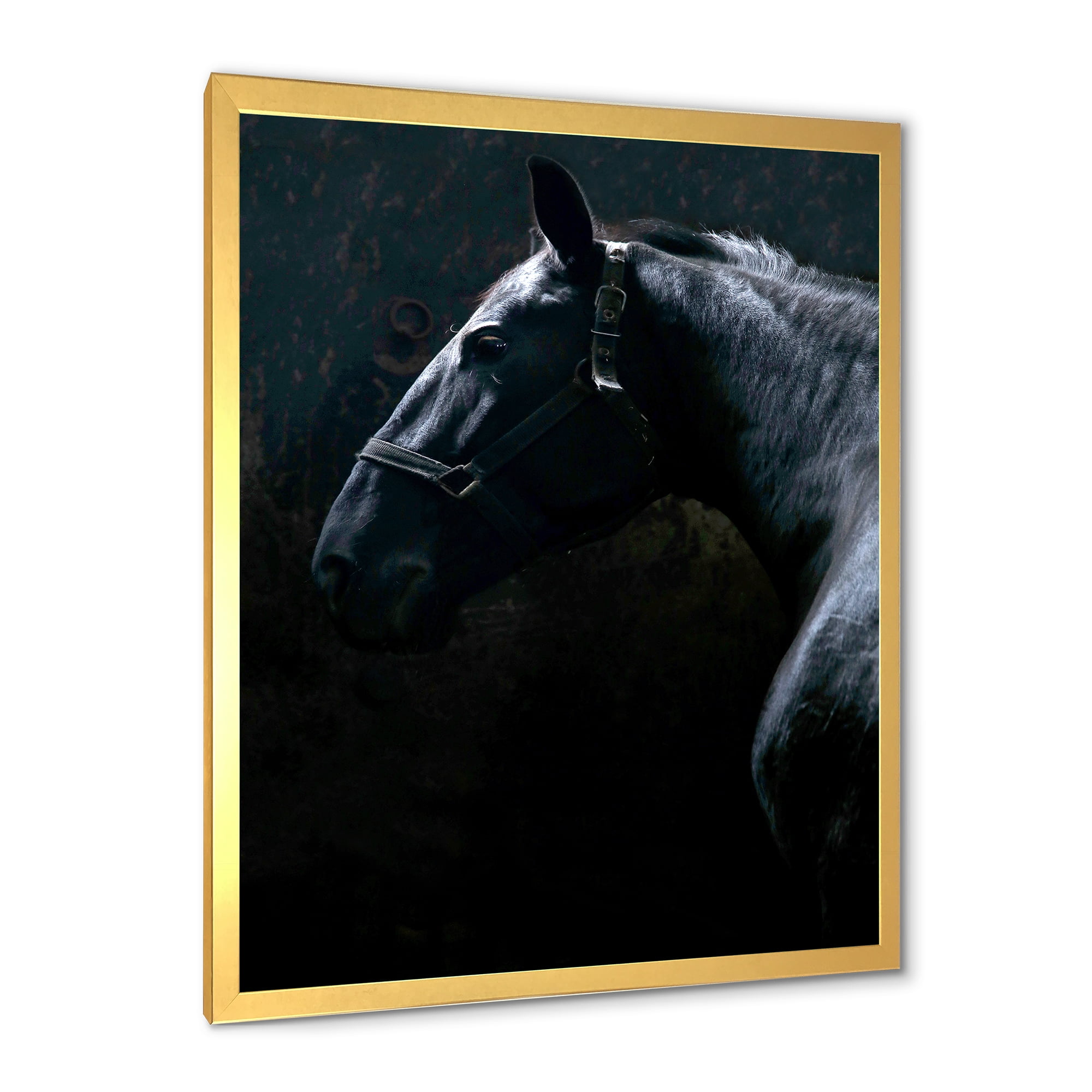 Designart 'Close Up Of Thoroughbred Nonius Stallion Horse II' Farmhouse Framed Art Print