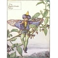 thumbnail image 2 of Vision Studio 19x24 White Modern Wood Framed Museum Art Print Titled - The Nightshade Fairy, 2 of 4