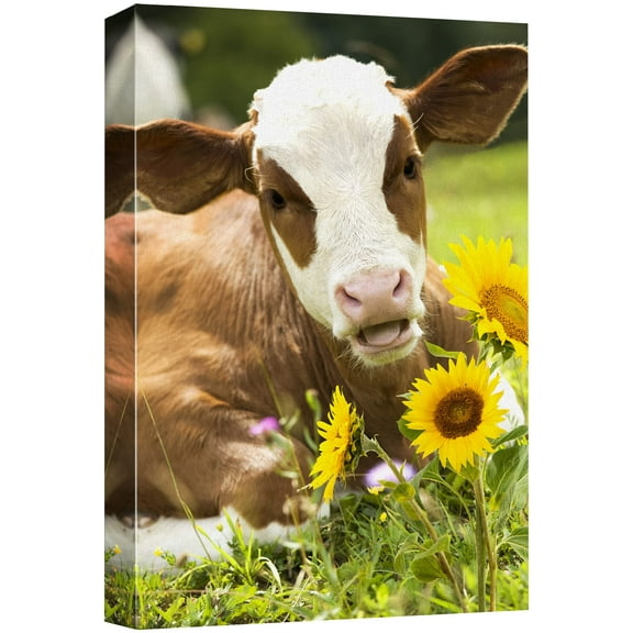 wall26 Canvas Print Wall Art Brown & White Calf on Grass with Sunflowers Animals Wildlife Digital Art Realism Rustic Scenic Nature Photography Colorful for Living Room, Bedroom, Office - 12"