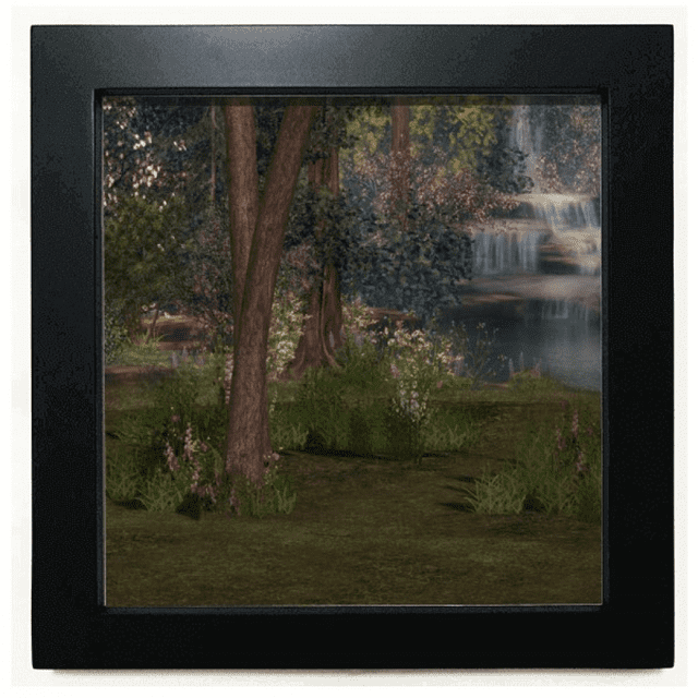 Cadre Photo Carré Noir pour Mur Ou Table, Nature, Science Forestière