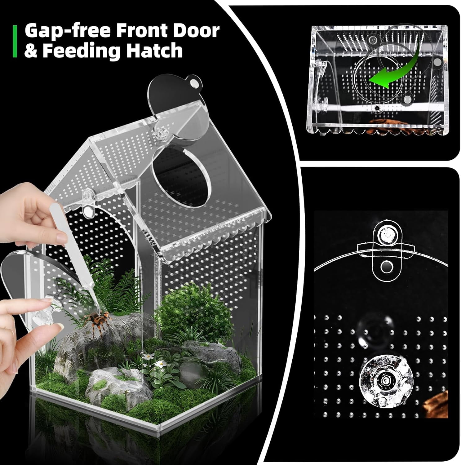 Warp-Proof Acrylic Spider Enclosure, Front Opening Terrarium with Feeding Port for Jumping Spiders, Mantis, Micro Reptiles