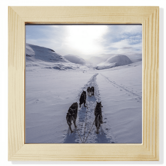 Dog Animal Snow Husky Picture Square Picture Frame Wall Tabletop Display
