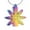 Rainbow, variant on Stainless Steel Maple Leaf Urn Pendant Cremation Jewelry for Ashes Holder Memory Necklace Memorial Jewelry