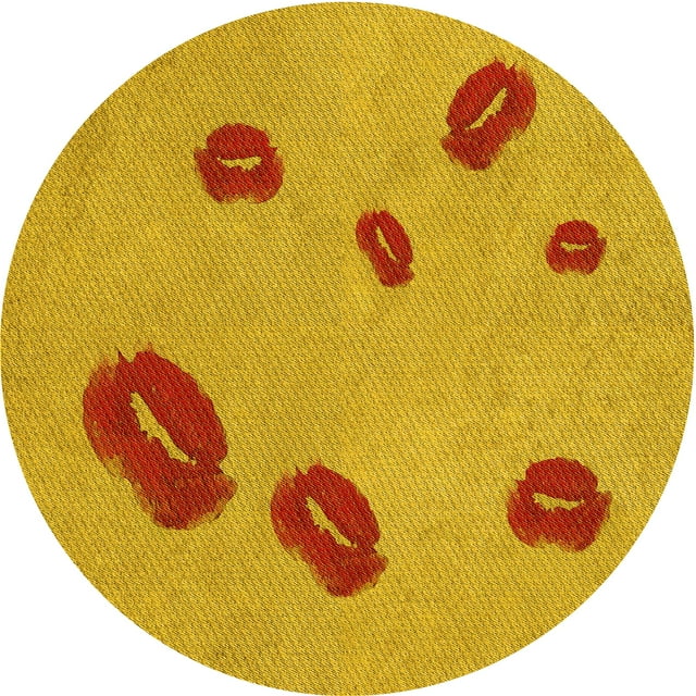 Ahgly Company Tapis d'Intérieur Lavables en Machine, Carrés, Oranges, 3' Carrés