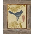 thumbnail image 2 of Appleman, Sam 12x14 Black Ornate Wood Framed with Double Matting Museum Art Print Titled - Steller Jay, 2 of 4