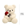 thumbnail image 3 of CELNNCOE Bear Plushies for Valentines Day Gifts,Cute Plush Teddy Bear Stuffed Animal Teddy Bears Plush Doll Toy Valentines Day Gifts for Girlfriend (45CM/17.7inch), 3 of 4