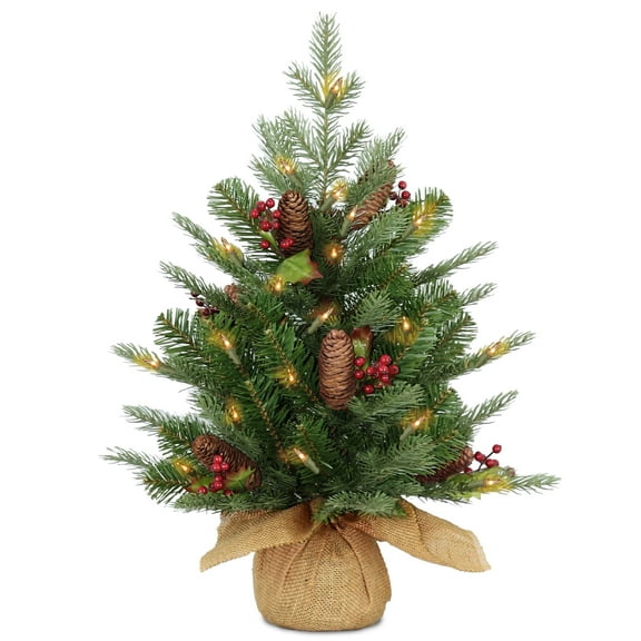 National Tree Company 2 ft. Nordic Spruce® Tree with LED Lights