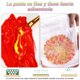 thumbnail image 3 of 52 Piezas kit de Pintura, Juegos de Caballete de Pintura com 1 Bastidores para Pintar y 12 Lienzo para Pintar, 24 Colores Pinturas Lavables no T&oacute;xicas, 10 Pinceles y 1 Paleta Arte Regalo Pe, 3 of 9
