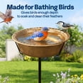 thumbnail image 6 of SPECSTAR Bird Bath for Outside, Outdoor 13'' Birdbath Bowl with Metal Ground Stake, Weather-Resistant ABS Bird Bath and Feeder for Garden, 1.45 Gallons, Copper, 6 of 8