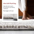 thumbnail image 4 of nuLOOM Talula Soft Textured Tassel Area Rug, 3' x 5', Talula Beige, 4 of 13
