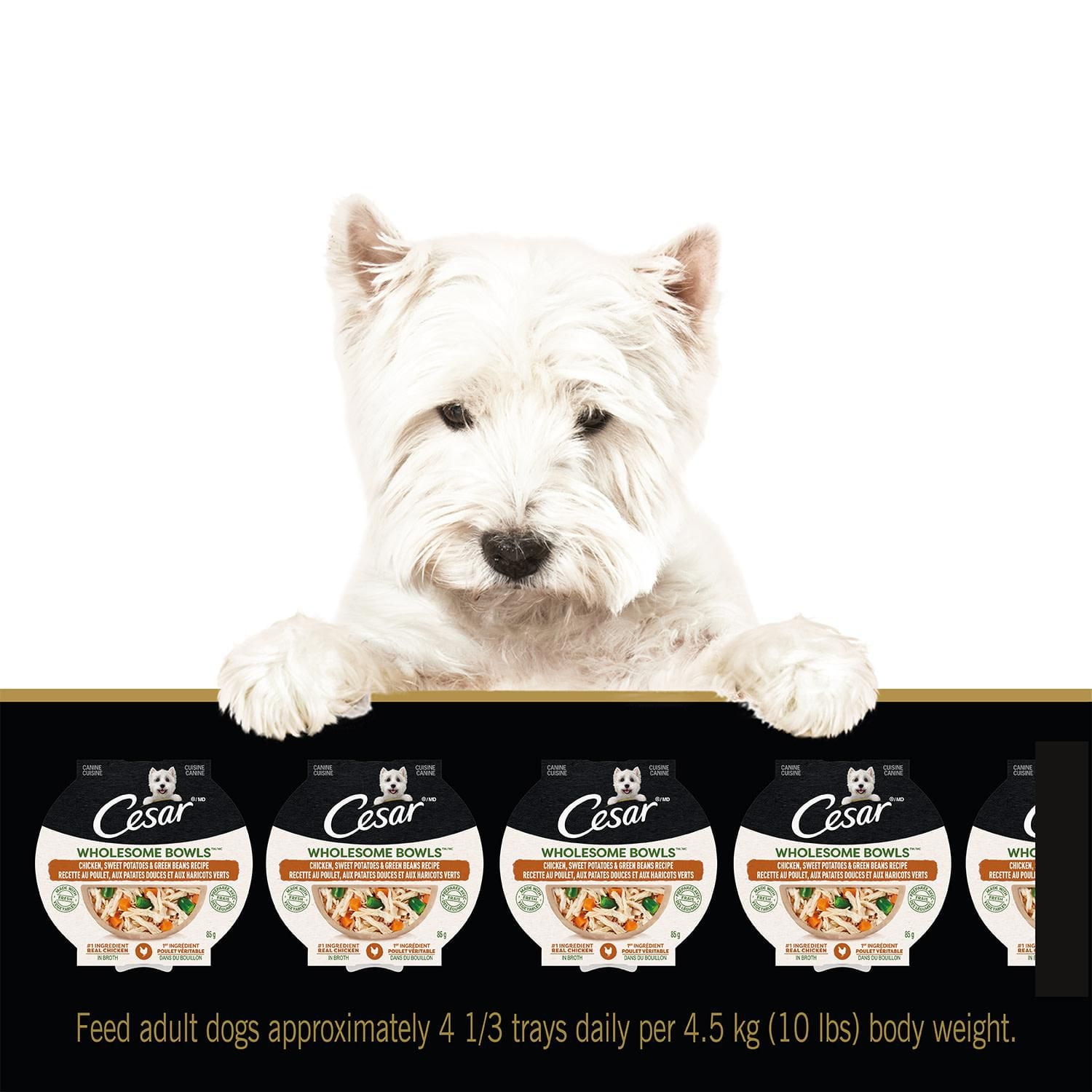 Cesar Wholesome Bowls Chicken, Sweet Potato & Green Beans Adult Wet Dog Food, 85g