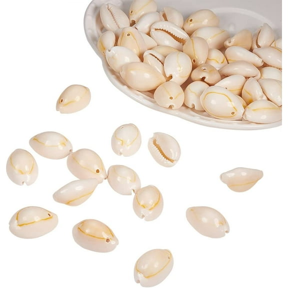 Cowrie Shell Pendants White 17~22x11~16x9~11mm Hole: 1mm 1Box