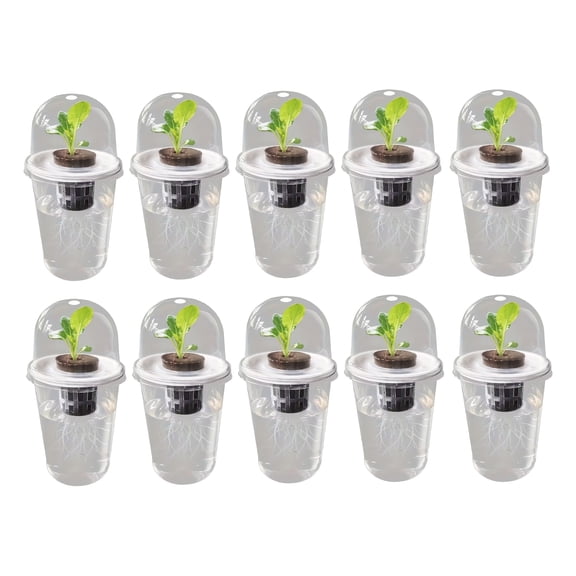 Ruanlalo 1/2/3/5/6/8/10Pcs Hydroponic Plants Growing Cup with Dome Transparent Plants Germination Pot Gardening Nursery Plants Starting Container