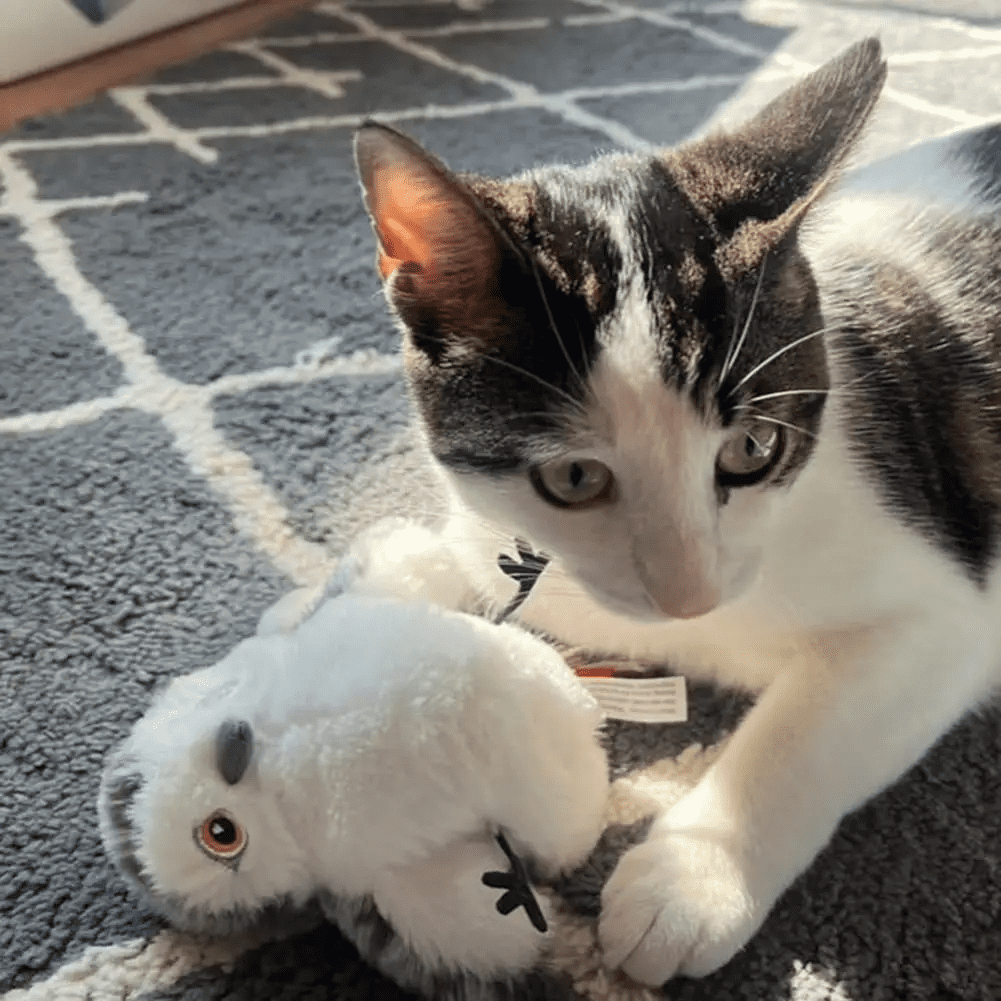 Cute and popular cat toys, simulated birds, touch sensitive cat toys, electric cat teasing, intelligent pet toys