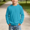 thumbnail image 3 of RUTAYY Boys Sweatshirt Waffle Knit Crew Neck Long Sleeve Cozy Solid Color Casual Pullover, Sky Blue, 3 of 6