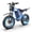 Blue, variant on R700 Peak 1500W 20"x4.0 Fat Tire Electric Bike, 52V 25Ah Battery, Off-road E-Bike for Adults,UL2849