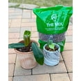 thumbnail image 3 of Potting Soil Mix for Indoor & House Plants – 1 Gallon – Orchid, Succulent, Cactus, Aroid, Houseplant, Monstera – Bio-Organic – Fast Draining – Rapid Root Growth – Pre-Soaked & Ready to Use, 3 of 3