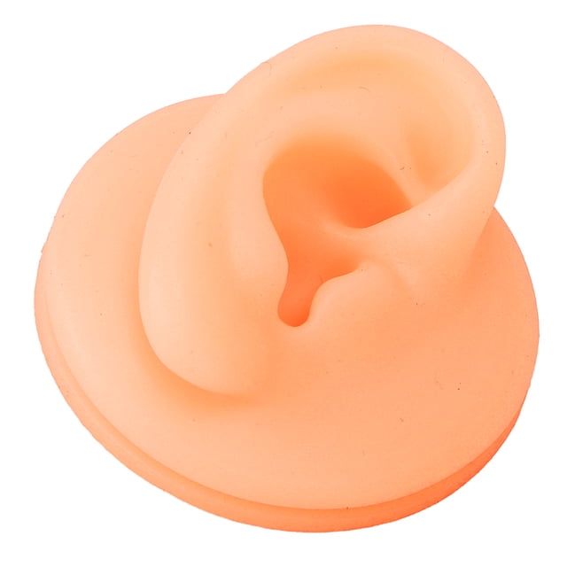 Silicone Ear Acupuncture Practice Model Reusable Simulation Ear Display Model False Ear Model Practice Silicone Ear Model Model Human Teaching Display Props