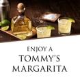 thumbnail image 4 of Roca Patron Reposado Tequila, 750 mL Bottle, ABV 42%, 4 of 12