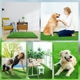 thumbnail image 3 of Artificial Grass Dog Pee Mat For Puppy Professional Dog Potty Training Rug Washable Pet Turf Fake Grass Replacement Doormat For Indoor Oudoor, 3 of 7