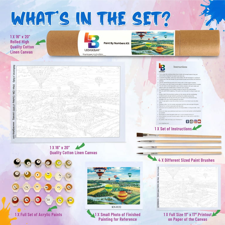 Adult Paint-By-Numbers Kit