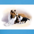 thumbnail image 3 of CafePress - Collie Women's Value T Shirt - Women's Traditional Fit Dark T-Shirt, 3 of 4