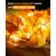 thumbnail image 2 of Guirnalda decorativa de otoño Luditek con hojas de otoño con luces LED de 24.6 pies, 2 of 7
