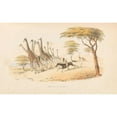 thumbnail image 2 of William Cornwallis Harris 14x11 Gold Ornate Wood Frame and Double Matted Museum Art Print Titled - The Wild Sports of Southern Africa (1844), 2 of 4