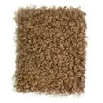 thumbnail image 3 of Sharprepublic Curly Fabric 16.9x14.9 inch Faux Fur Cloth for DIY Crafts Blanket Upholstery Camel, 3 of 8