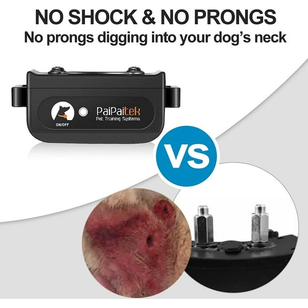 Dog training collar vibration only online