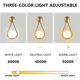 thumbnail image 2 of Aplique de pared LED dorado con ángulo ajustable, lámpara de pared industrial retro moderna para interiores, elegante lámpara de pantalla de bola redonda de vidrio [Clase energética A+++], 2 of 5
