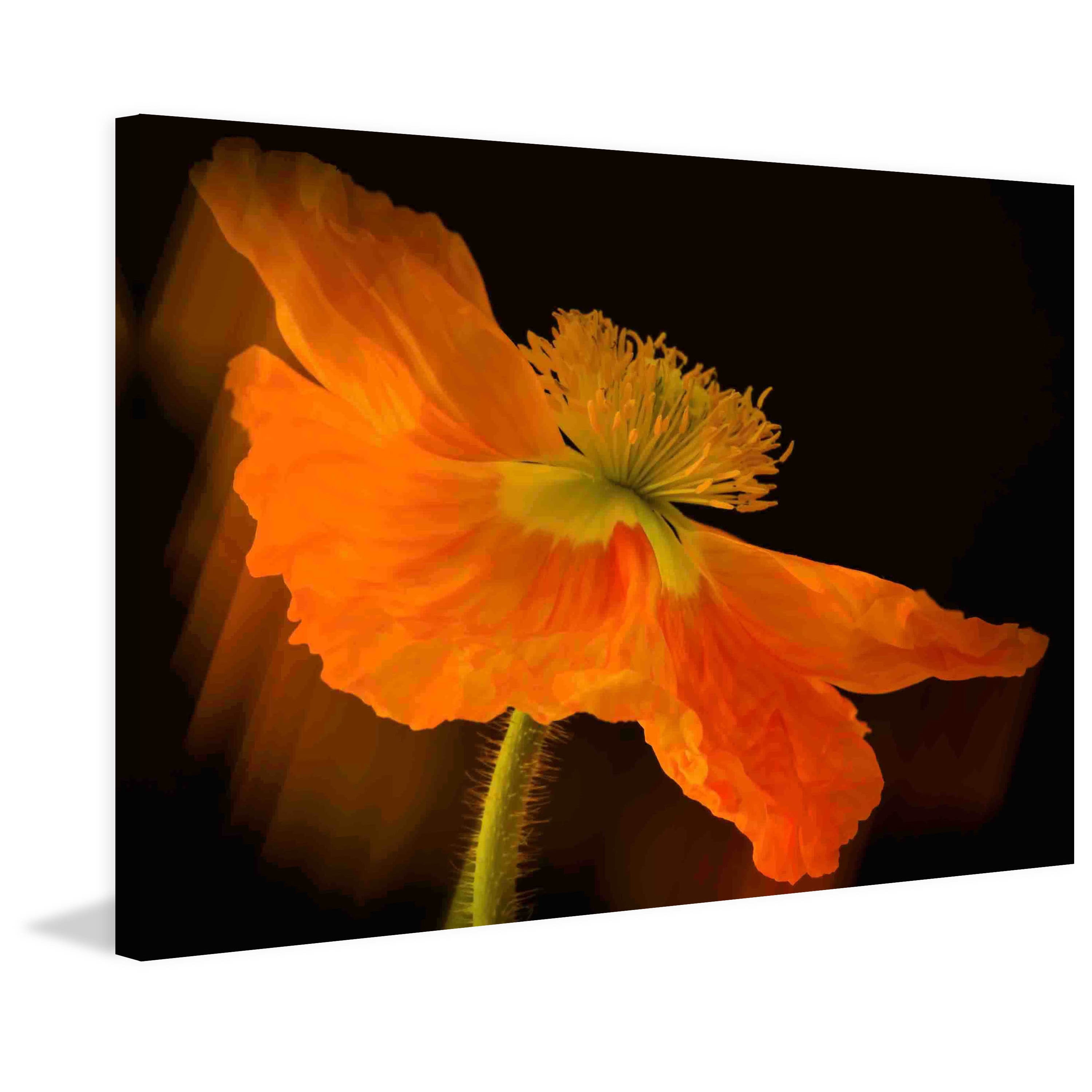 Marmont Hill "Dramatic Orange Poppy" Painting Print on Canvas