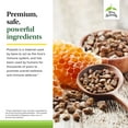 thumbnail image 5 of Terry Naturally Propolis Extract EP300 - 60 Chewable Tablets, 5 of 7