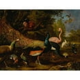 thumbnail image 3 of Melchior d'Hondecoeter 14x12 Black Modern Framed Museum Art Print Titled - Exotic Fowl, Including a Peacock and Peahen, Flamingo, African Crane, Pheasant, and Lapwing, Shoveller, Pelican and, 3 of 5