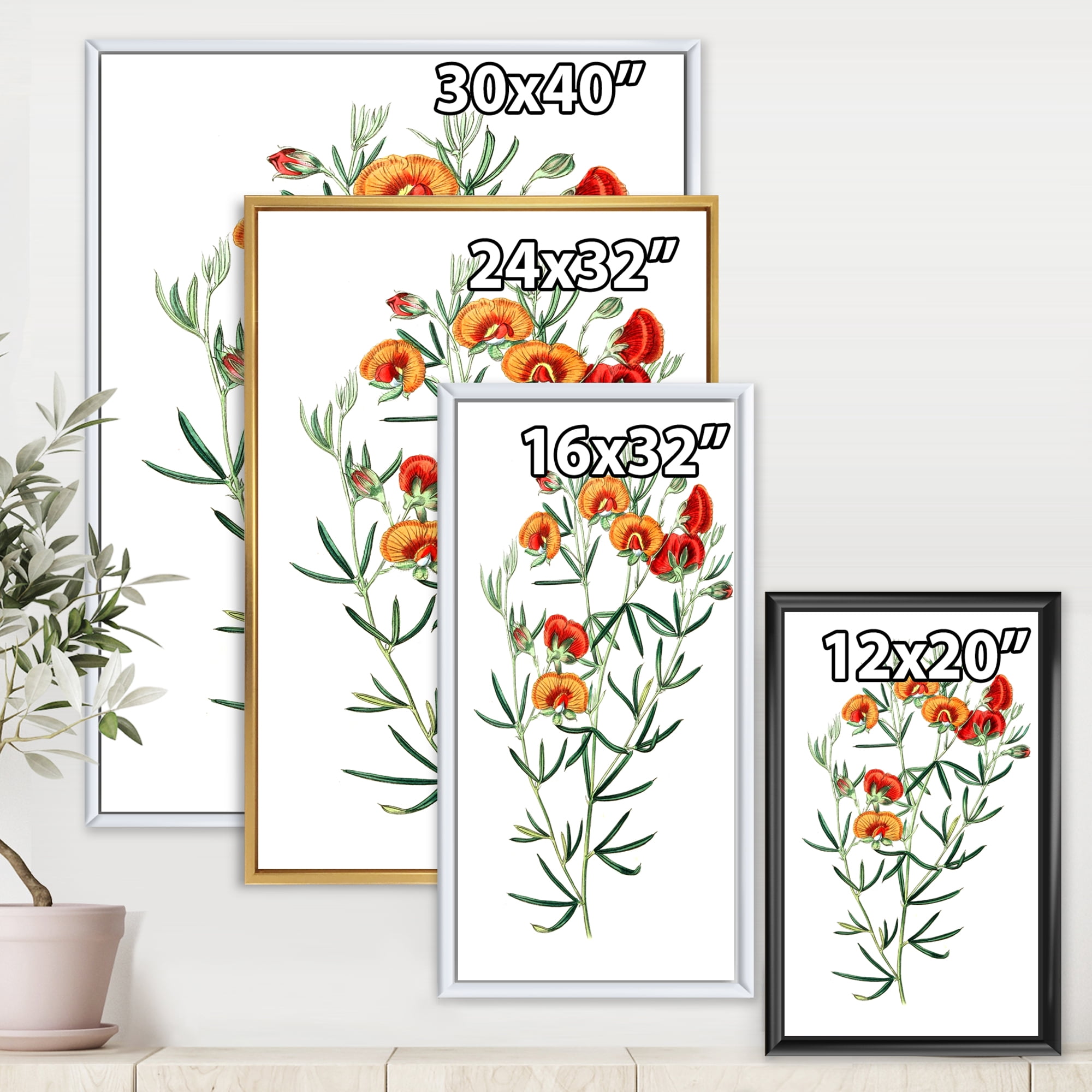 Designart 'Ancient American Flora VIII' Traditional Framed Canvas Wall Art Print