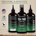 thumbnail image 2 of Fiora Naturals Tea Tree Oil for Hair and Scalp - with Jojoba, Grape Seed & Castor Oils - Helps hair growth, Soothes Itchy Scalp & Fights Dandruff - Moisturizes and adds shine - 4 fl oz, 2 of 6