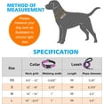 thumbnail image 4 of Solennerer Reflective Dog Collar Dog Leash Sets with Padded Handle Adjustable Nylon Collars for Small, Medium and Large Dogs, 4 of 7