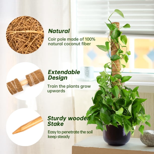 Fusisi Monstera 52 Inch Moss Stick Coir Totem Plant Support For