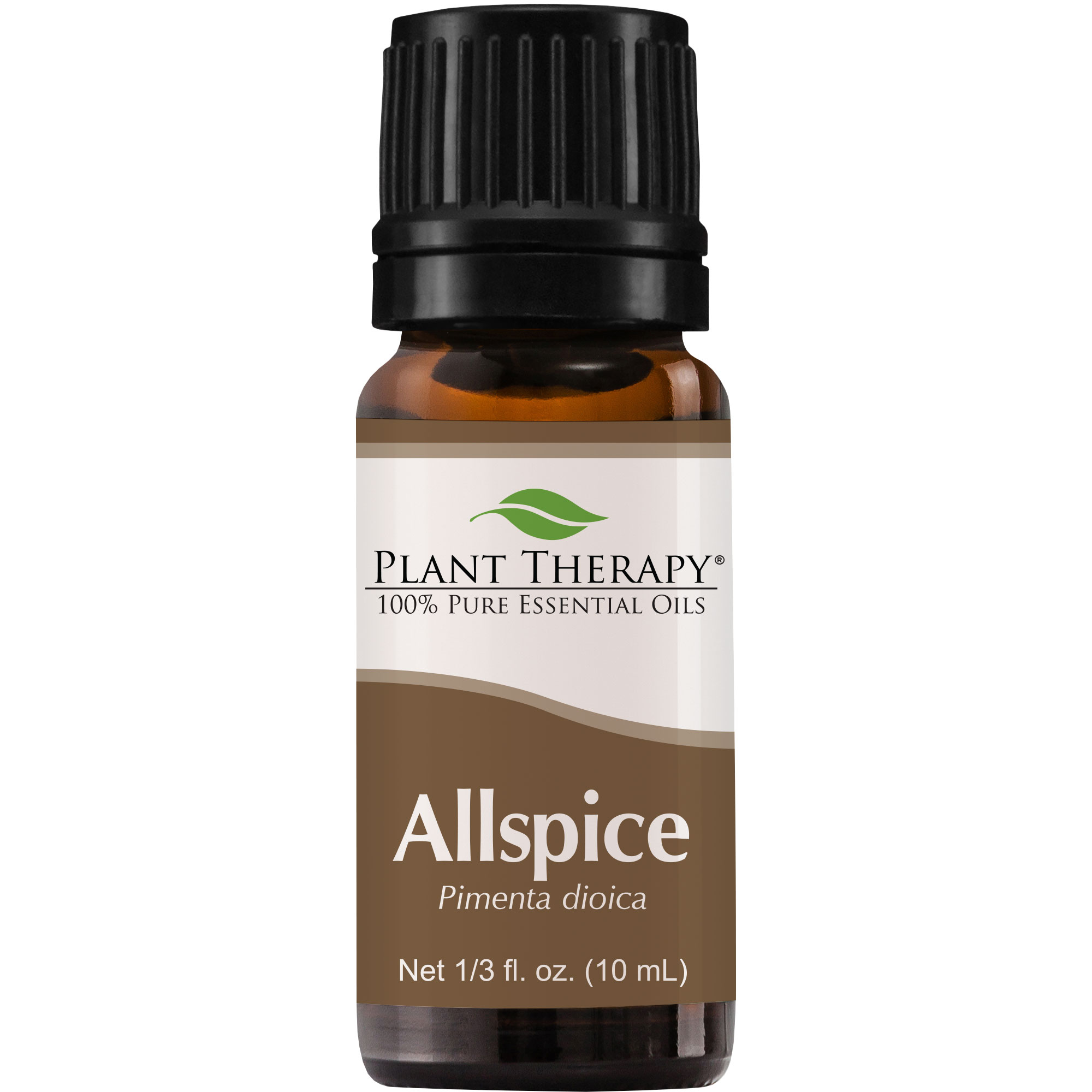 Plant Therapy Allspice Essential Oil 10 mL (1/3 oz) 100 Pure