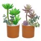 thumbnail image 1 of 2 uds simulación de suculentas combinación bonsái decoración creativa planta de flores decoración interior, 1 of 5