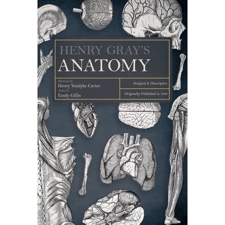 Henry Gray s Anatomy: Descriptive and Surgical (Hardcover)