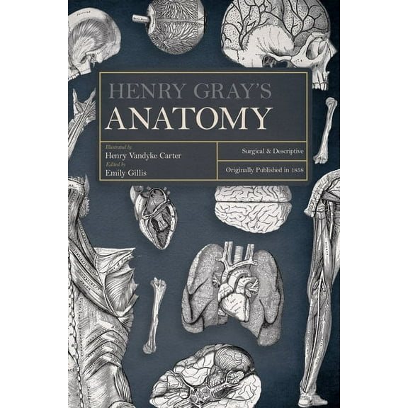 Henry Gray's Anatomy: Descriptive and Surgical, (Hardcover)