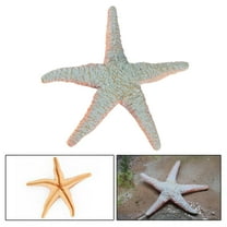 CxhicLuv Realistic Sea Animals Simulation Figurines, Hand-Painted ABS Marine Life Toys, Educational Ocean Animal Models for Kids, Perfect Gift for Children’s Room & Playtime Fun